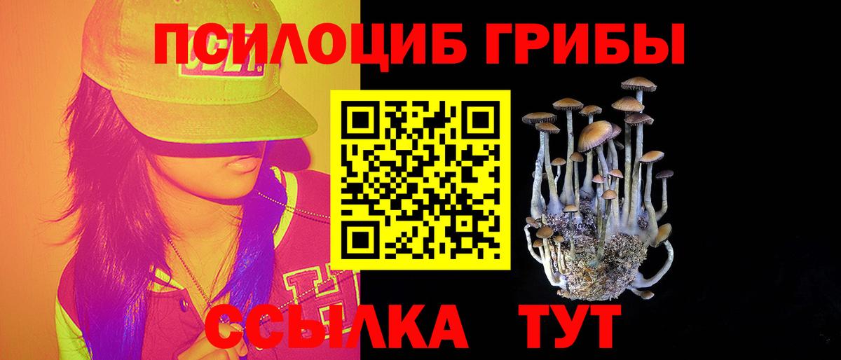 Галлюциногенные грибы Magic Shrooms  Вход с VPN  Химки  Галлюциногенные грибы Magic Shrooms 